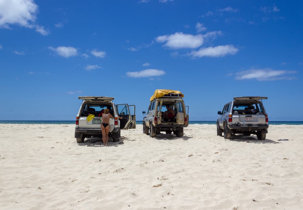 Three vehicles parked on Lake McKenzie beach with a woman sitting in the back.