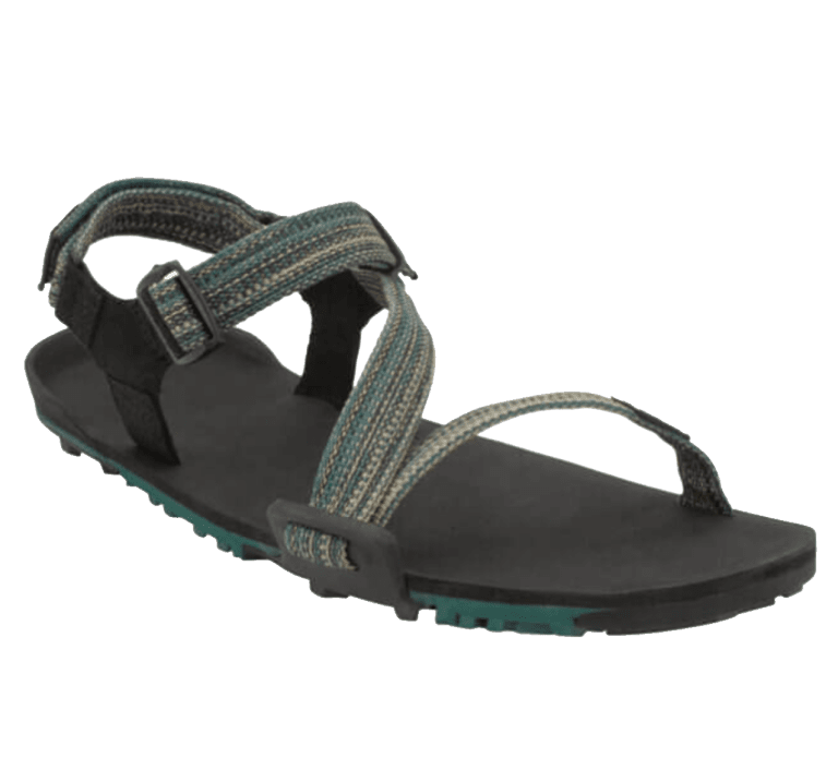 a women's sandal in black and blue.