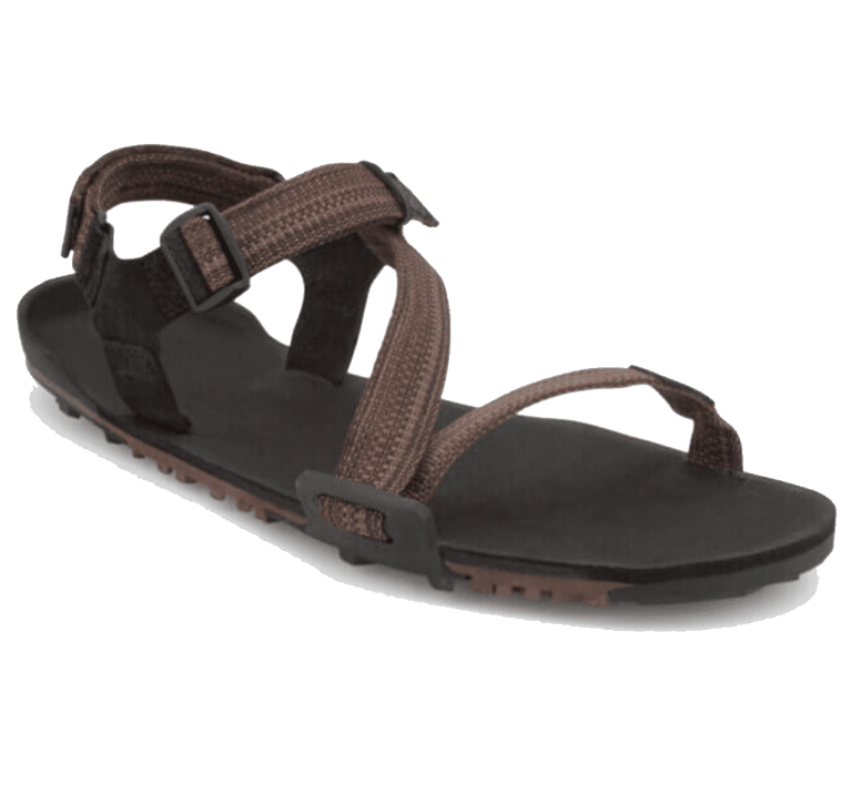 a brown sandal with two straps.