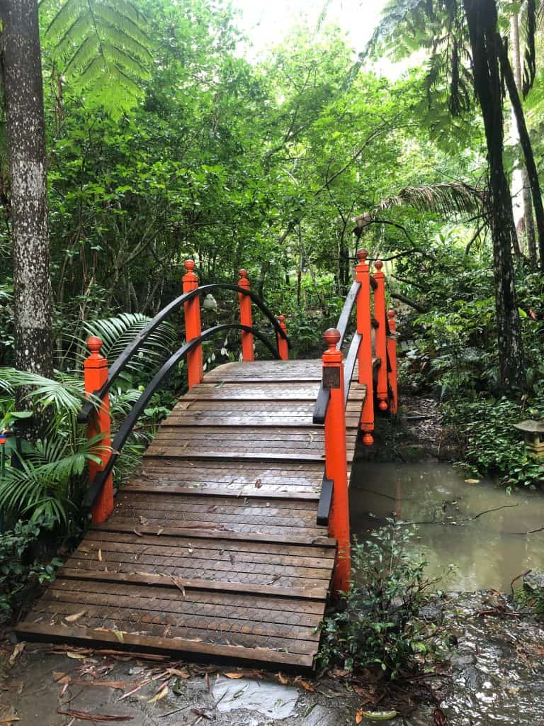 cedar creek falls bridge