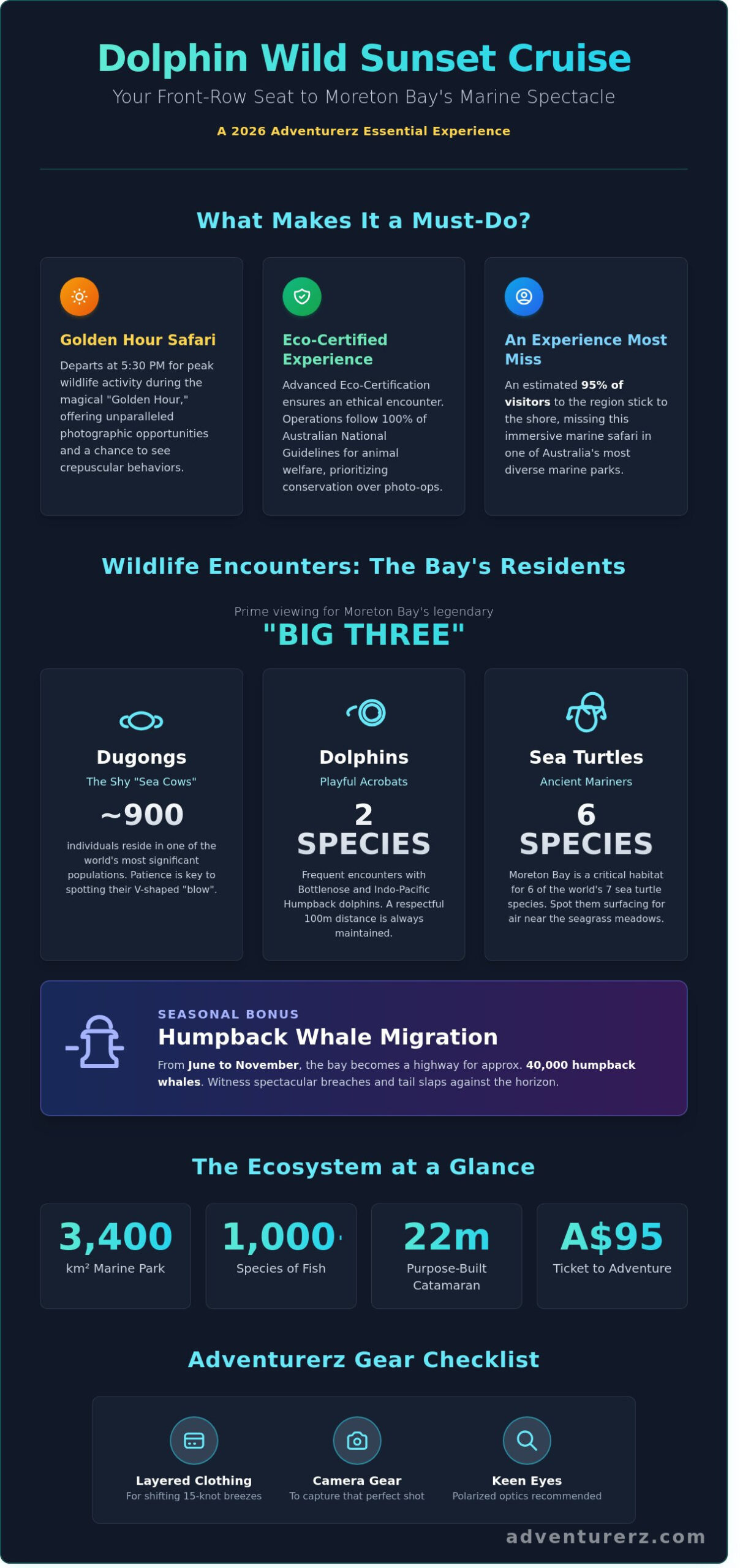 Dolphin Wild Sunset Cruise in Moreton Bay: The Ultimate 2026 Eco-Adventure Guide