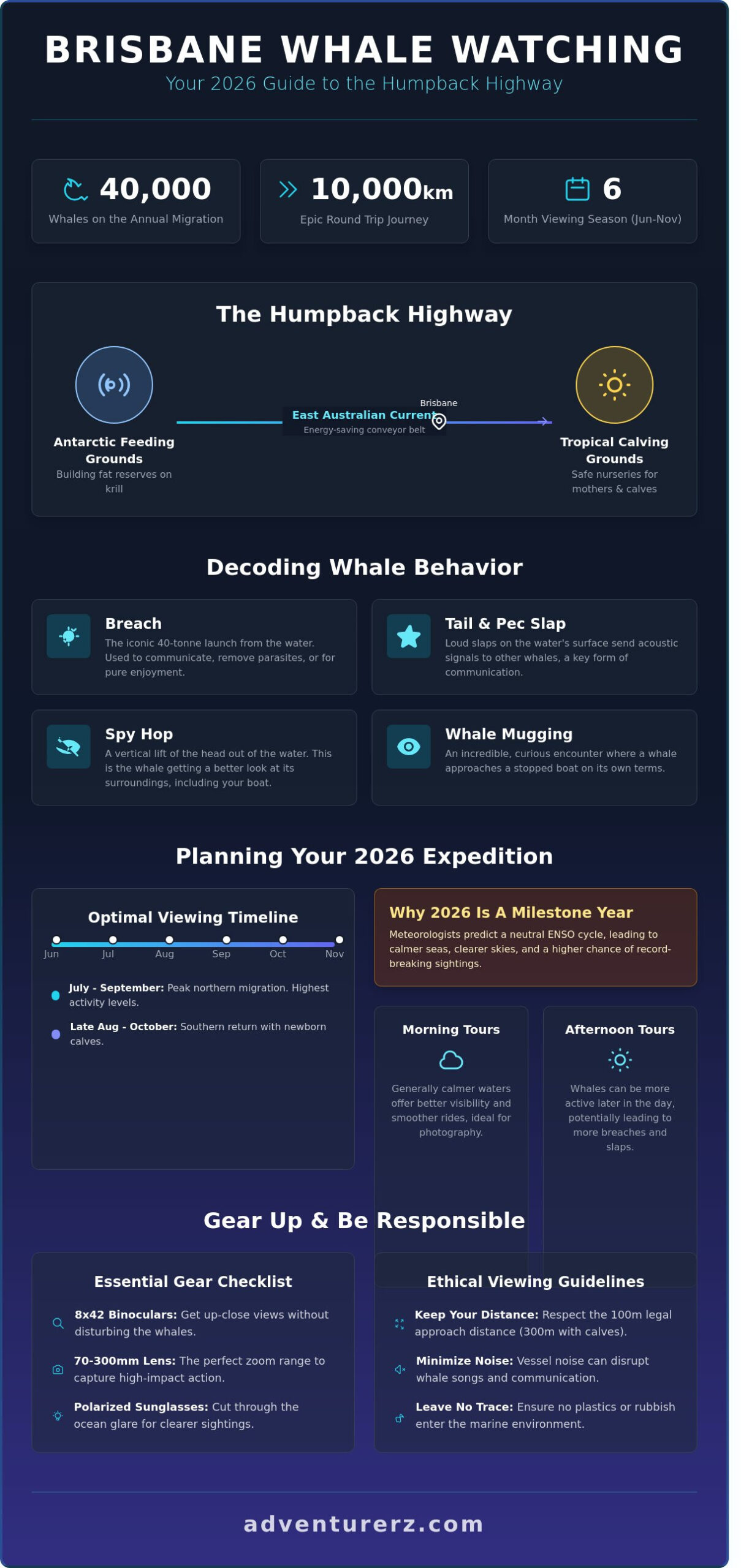 Brisbane Whale Watching: The Ultimate 2026 Guide to the Humpback Highway