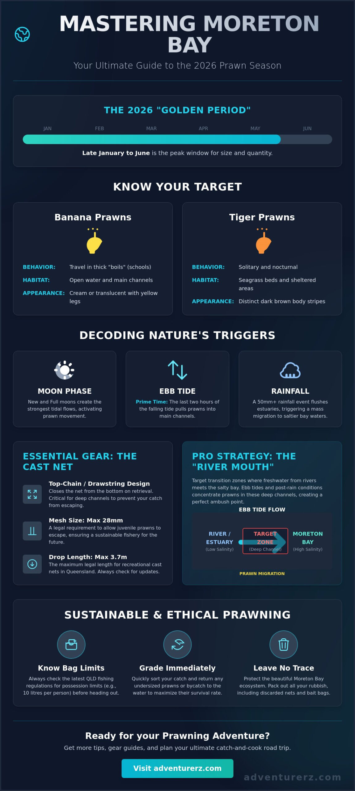 Prawn Season Moreton Bay: The Ultimate 2026 Adventurerz Guide
