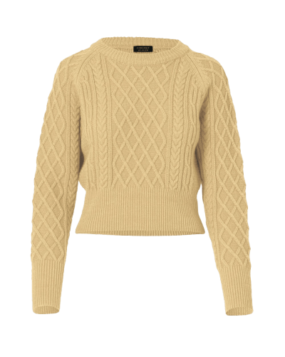 a sweater with a cable pattern on the shoulders.