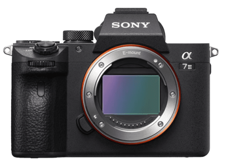 One of the Best Travel Cameras: the Sony Mirrorless Camera.